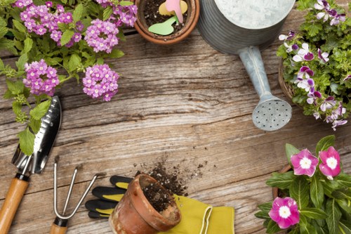 Professional lawn mowing service in a Brixton garden