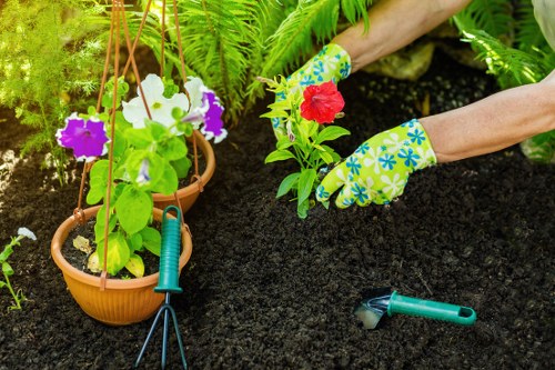 Seasonal lawn maintenance services in Brixton