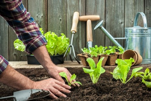 Professional lawn mowing service in Brixton