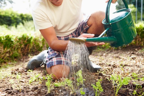 Person using a screen reader with lawn care content visible
