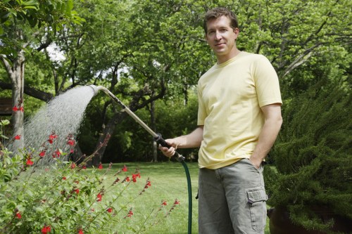 Certified arborist assessing tree health