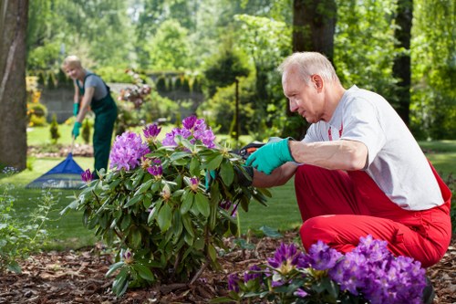 Customer reviewing accessible booking options for local lawn mowing