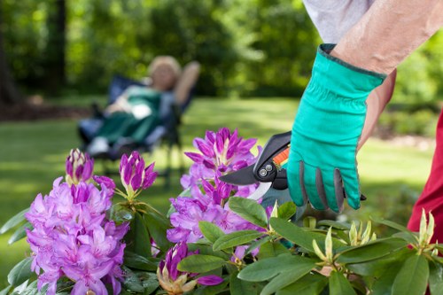 Skilled team maintaining a lush green lawn