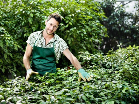 Worker using protective equipment while trimming grass