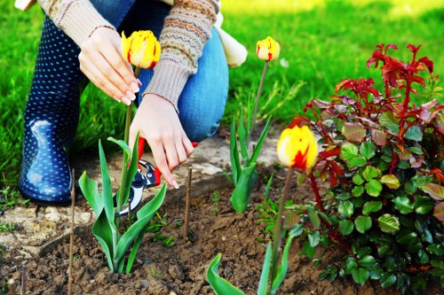 Community garden in Brixton with diverse plant species and green spaces