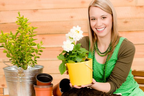 Eco-friendly lawn care practices in action