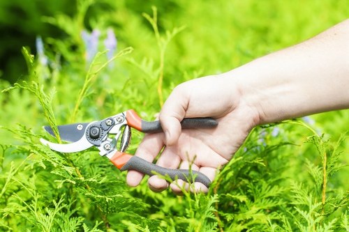 Professionally designed outdoor space with sustainable irrigation systems