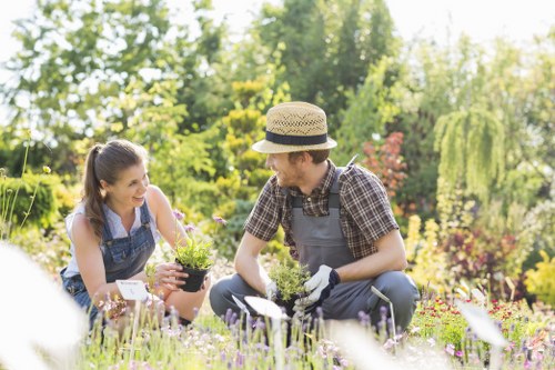In a well-maintained front garden, two individuals are engaged in gardening activities amidst lush greenery and vibrant flowering plants. The garden features a neatly mown lawn with dense, green grass occupying the foreground, bordered by flower beds filled with colourful, blooming flowers and small shrubs. Behind them, there are mature trees and a variety of plants, creating a rich backdrop of natural foliage and dappled sunlight filtering through the tree canopy. The scene depicts a sunny day with clear weather conditions, enhancing the vivid colours and shadows cast on the garden elements. One person, wearing a straw hat, a checkered shirt, and gardening gloves, is kneeling on the grass, holding gardening tools, possibly engaged in planting or weeding. The other person, a young woman with long hair tied back, is smiling and holding a small potted plant, suggesting ongoing planting or garden care. The garden's layout includes a mix of lawn, flower beds, and small plants, emphasizing a landscaped outdoor space designed for gardening and outdoor enjoyment, consistent with the services offered by Lawn Mowing Brixton in the Brixton area. This scene captures a typical, landscaped garden environment suited for professional lawn care, gardening, and outdoor maintenance services.